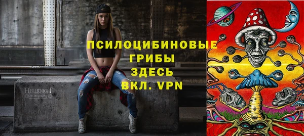 твердый Белокуриха